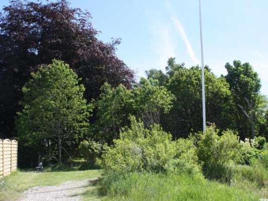 Værdier & faglig målsætning